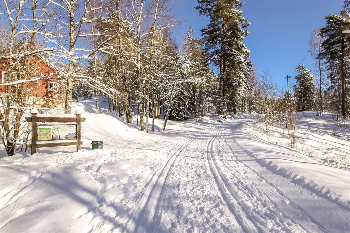Flotte skiløyper langs Østensjø Galleribilde