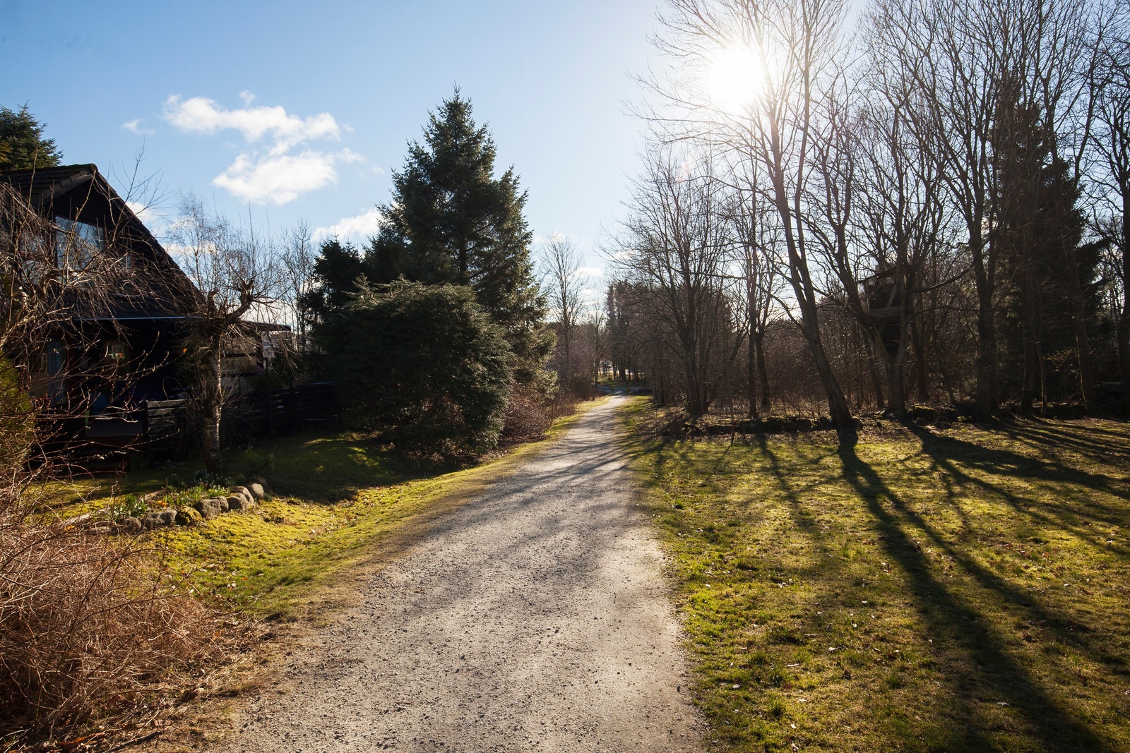 En liten rusletur gjennom friareal til nærmeste bussholdeplass. Galleribilde