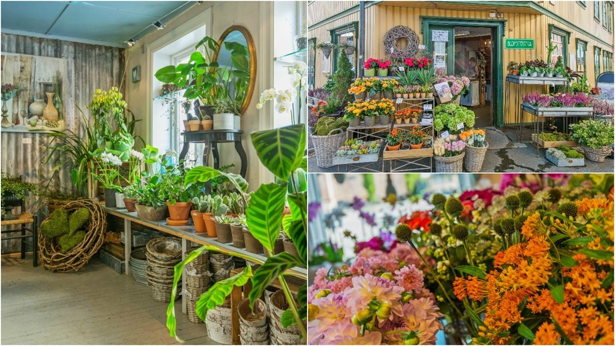 Som en av Kampens gamle institusjoner, finner du Blomsterenga ved Torbjørn Egners plass. Blomsterbutikken har også søndagsåpent, og har et bredt utvalg av alt fra planter og potter til flotte buketter og dekorasjoner til alle anledninger. Galleribilde