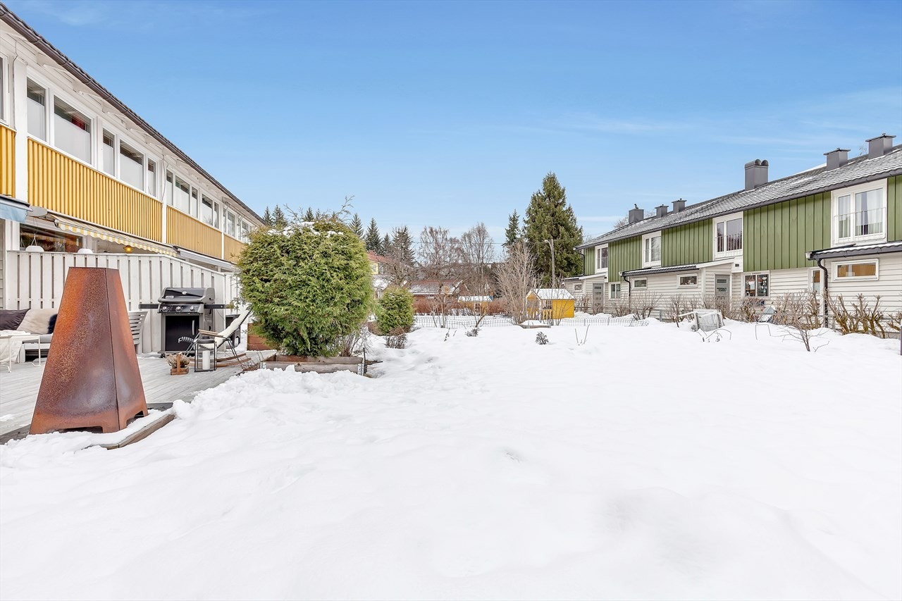 Stor solrik tomt hører til Nils Bays vei 59E. Den er beplantet med stor plen, hekk og busker. Galleribilde