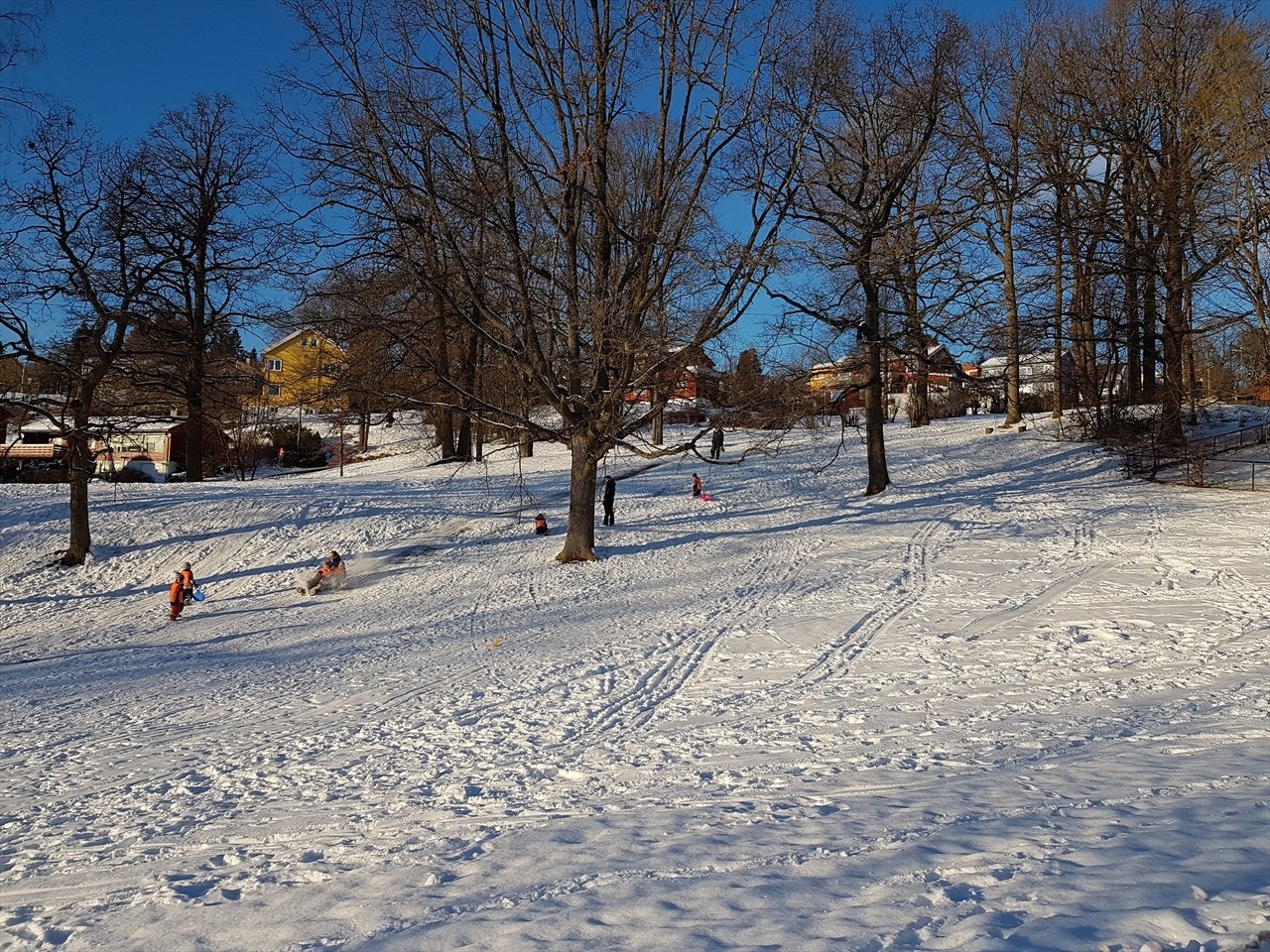 Kort spasertur til Damefallet og Havnabakken (store grøntbelter som strekker seg fra Ringveien til Sognsvann og Korsvoll) med akebakker og skøytebane om vinteren. Du kan gå eller sykle til Nordmarka- Sognsvann med flotte lysløype/ tur/fiske/bademuligheter Galleribilde