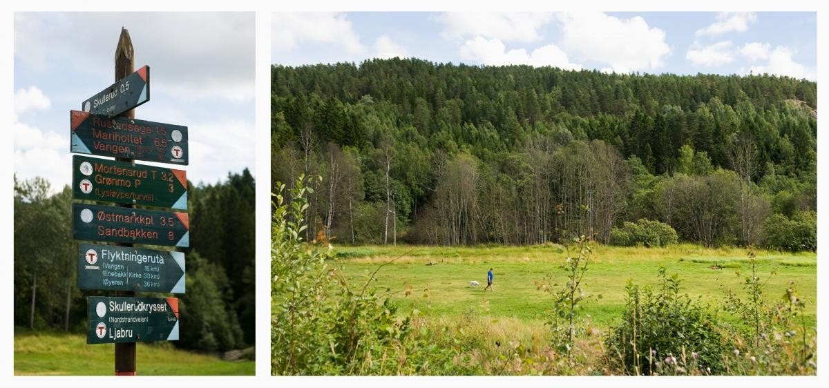 Østmarka. Galleribilde