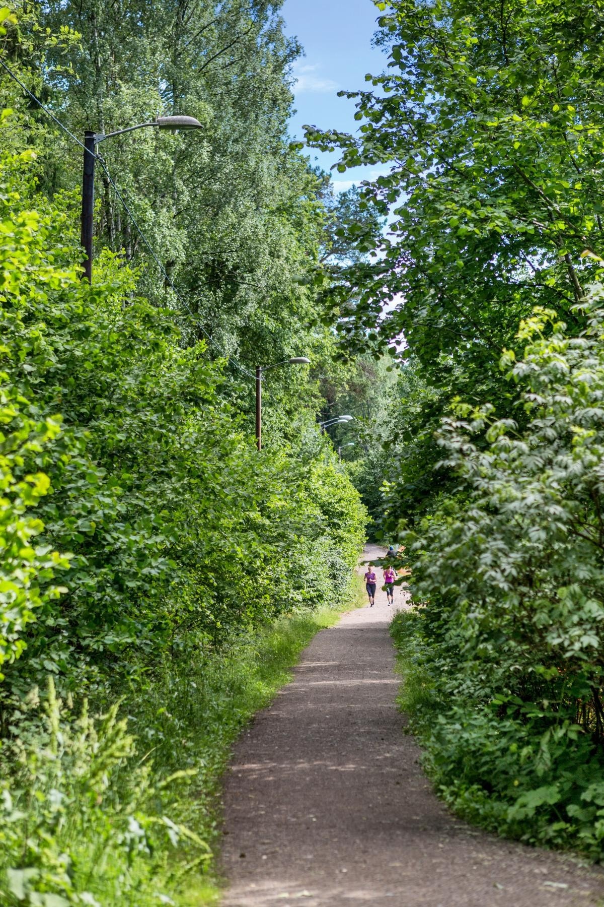 Fra lysløypa. Galleribilde