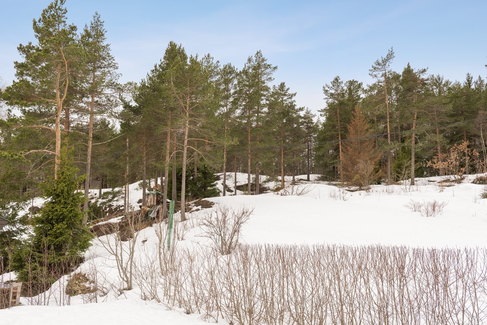 Utsikt fra hagen Galleribilde