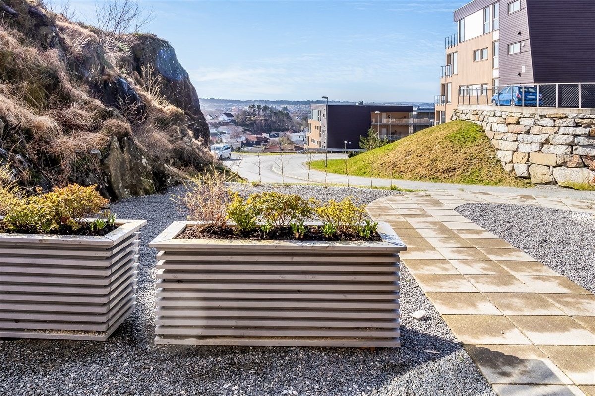 Terrasse Galleribilde