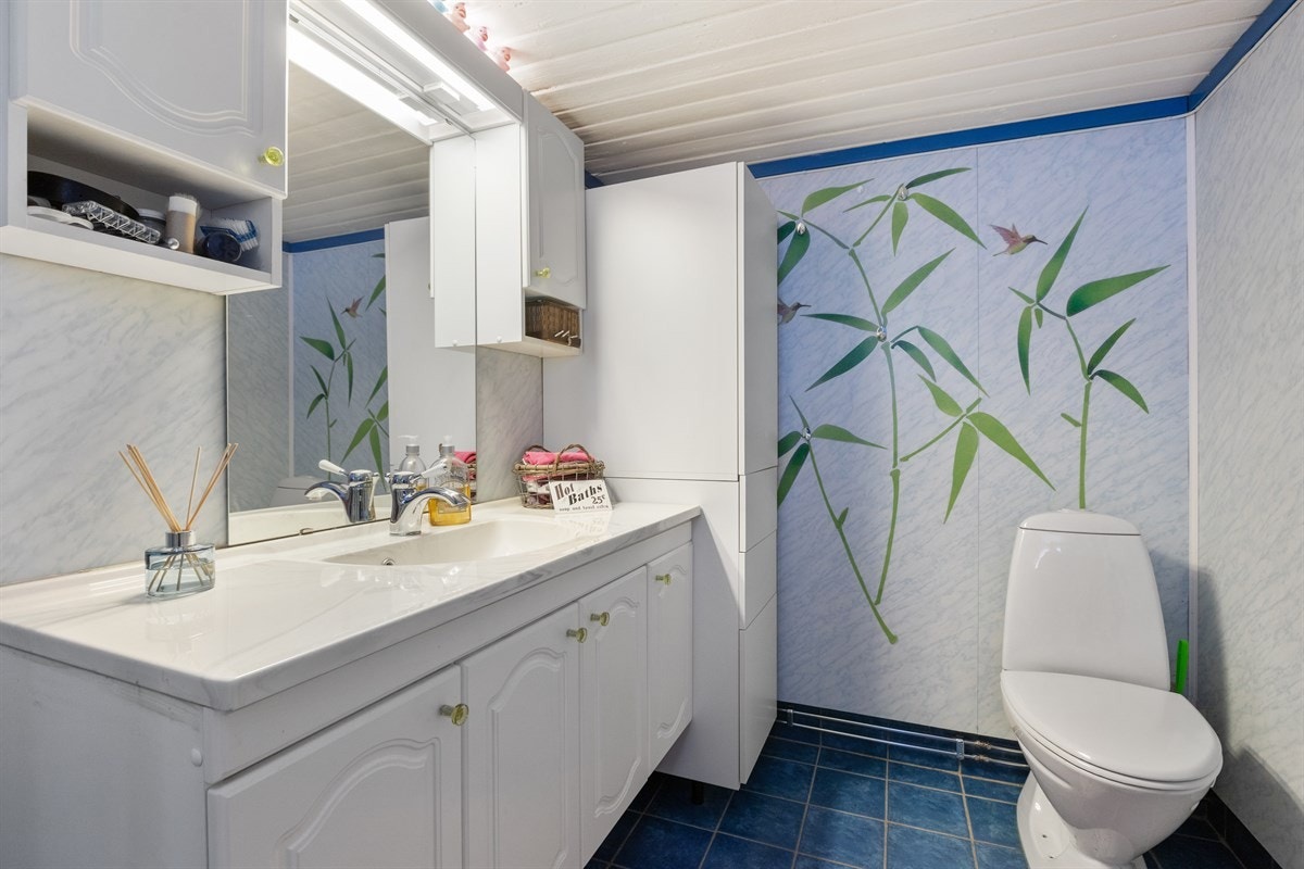 Bad hovedhus Galleribilde