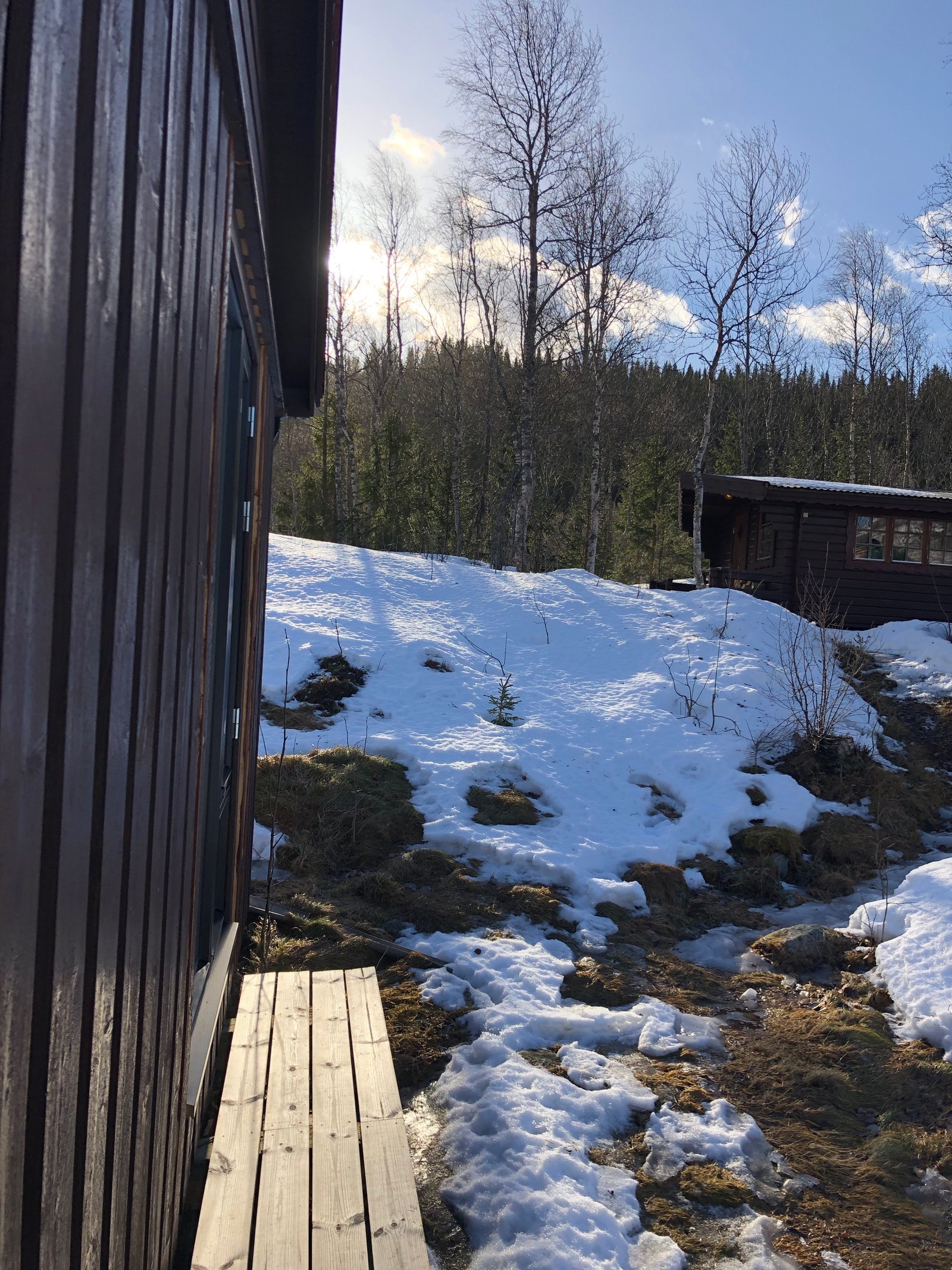 Her kan man nye solen Galleribilde