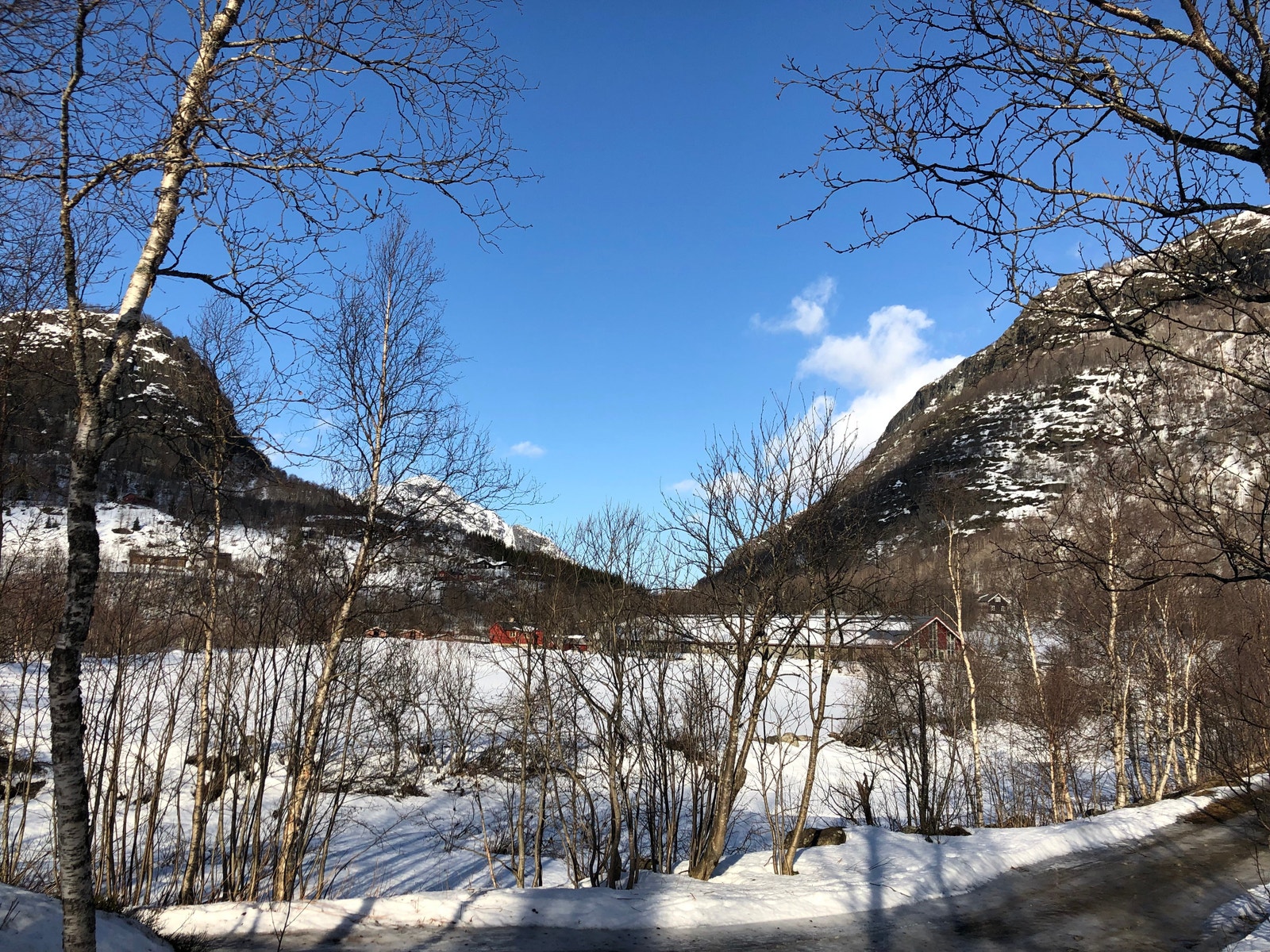 Flott natur utenfor hytta Galleribilde