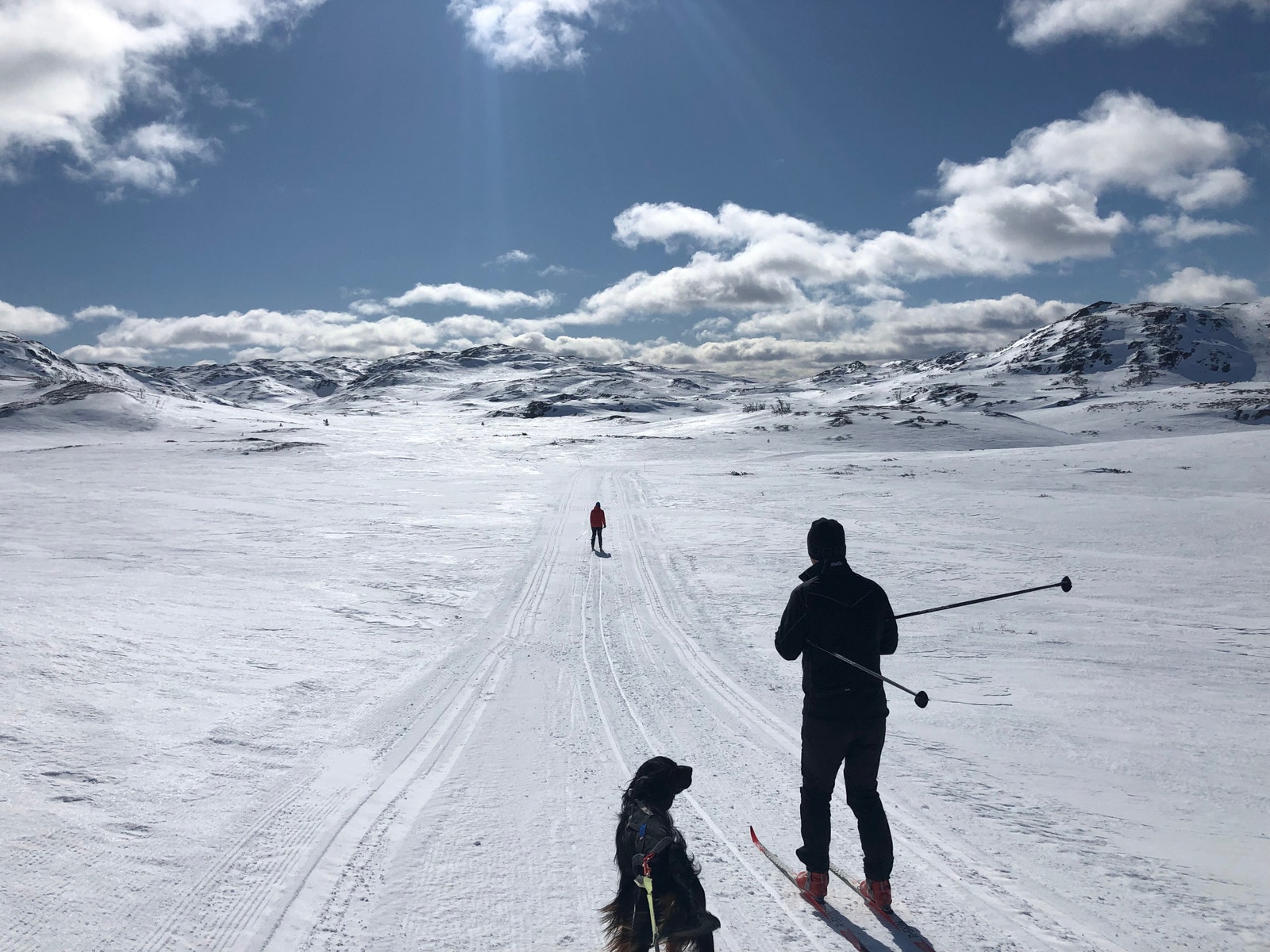 Silkedalen 31.mars 2019 - flotte forhold og klar til påske ! Galleribilde