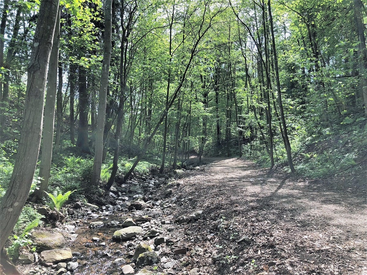 Turområder i nærområdet sommer som vinter Galleribilde