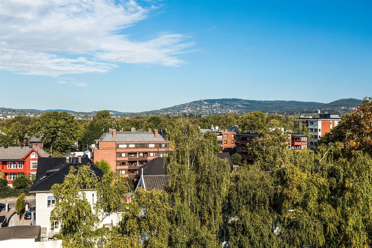 Flott utsikt! Galleribilde