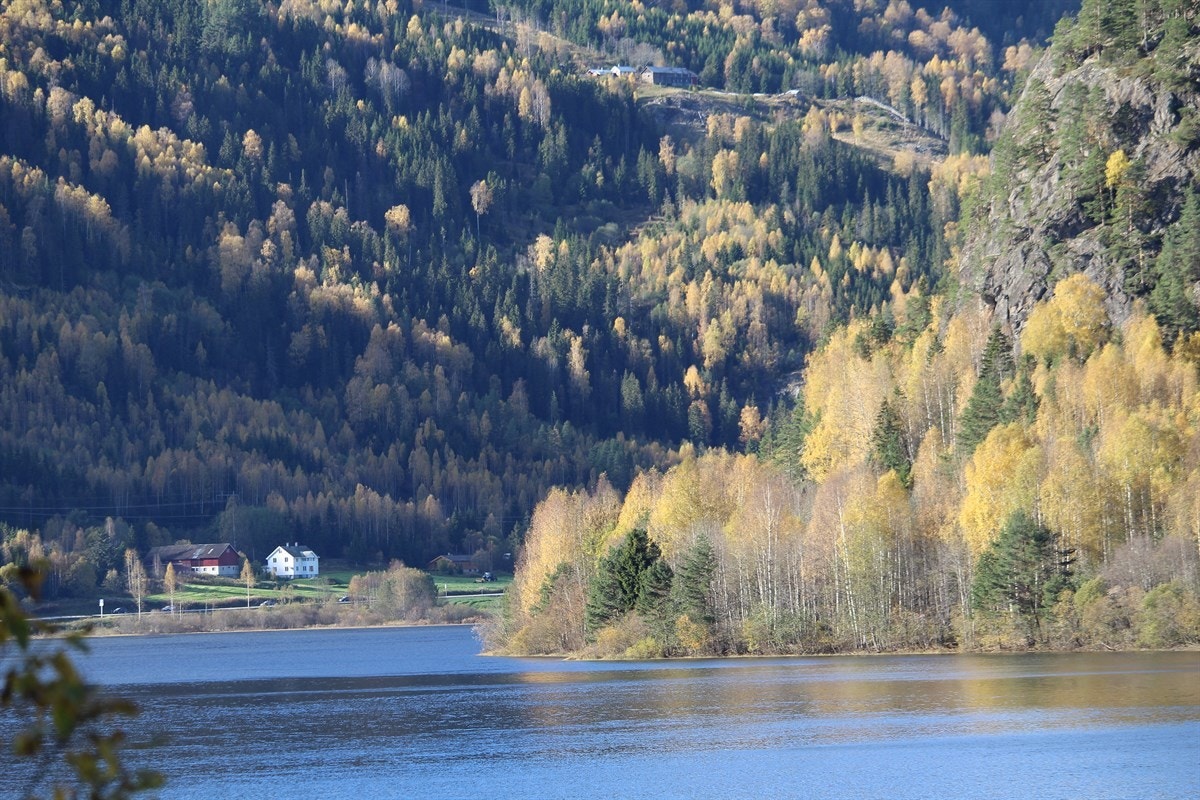 Hallingelva går rett på nedsiden av hytta Galleribilde