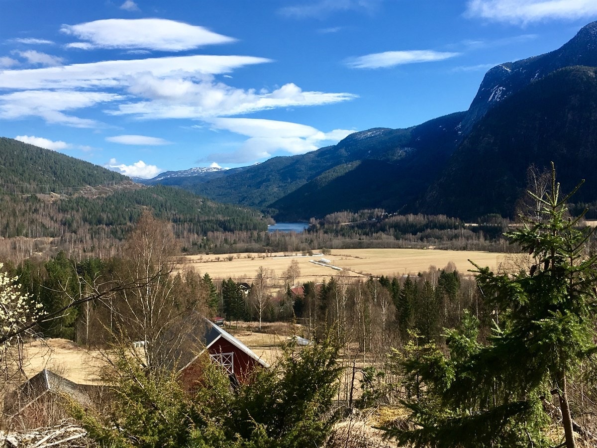 Utsikt utover Bergheimdalen Galleribilde