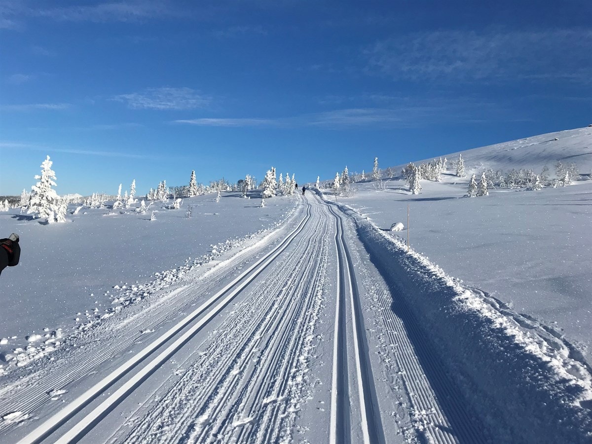 Skiløype fra Haglebu, 900 moh. Ca 20 min med bil Galleribilde