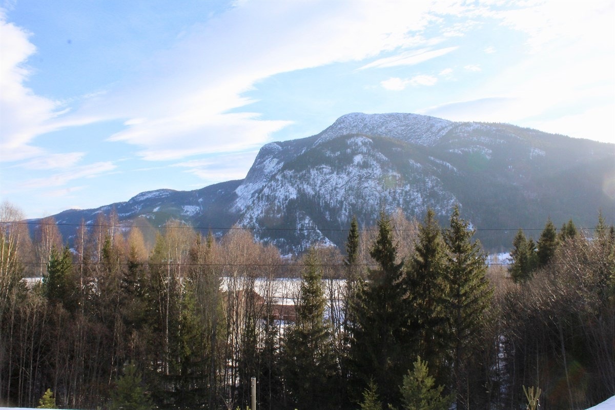 Hytta kan overtas omgående ferdig møblert Galleribilde