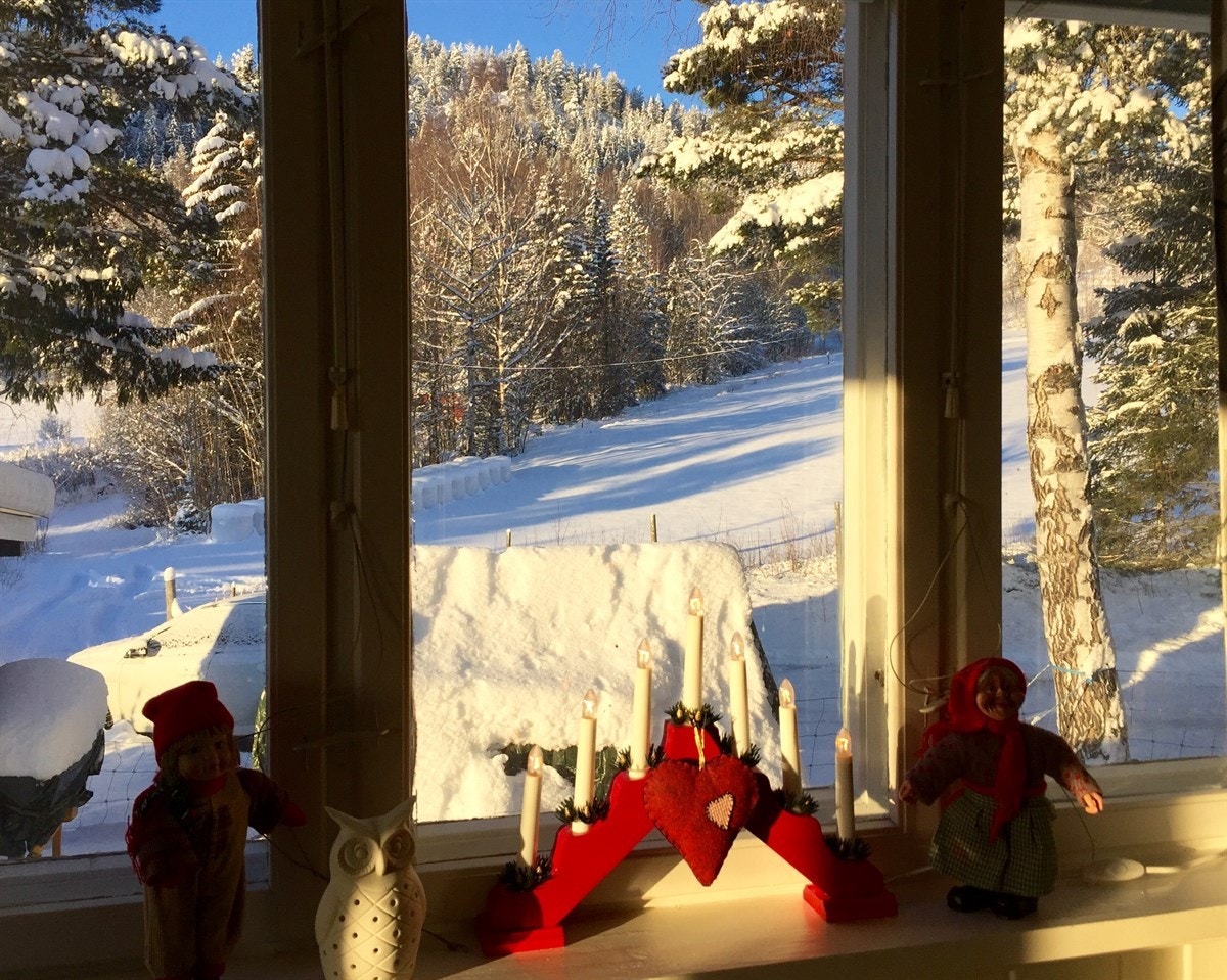 Hytta ligger fint uten innsyn Galleribilde