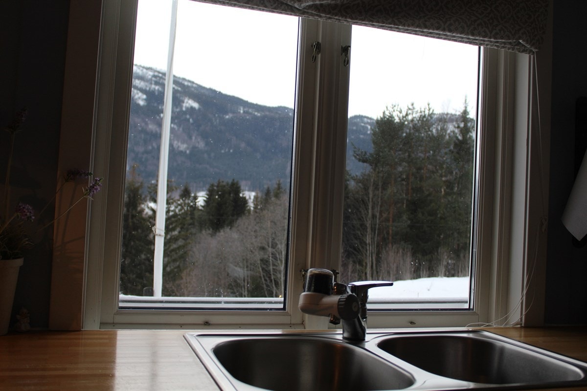 Utsikt fra kjøkken Galleribilde