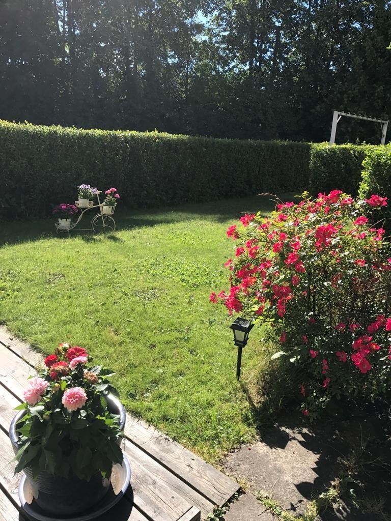 Sommeridyll! Bilde tatt av selger. Galleribilde