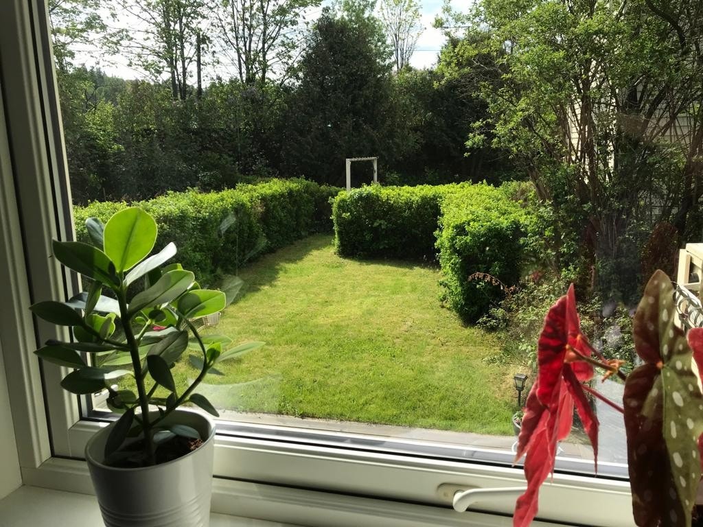 Sommeridyll! Bilde tatt av selger. Galleribilde