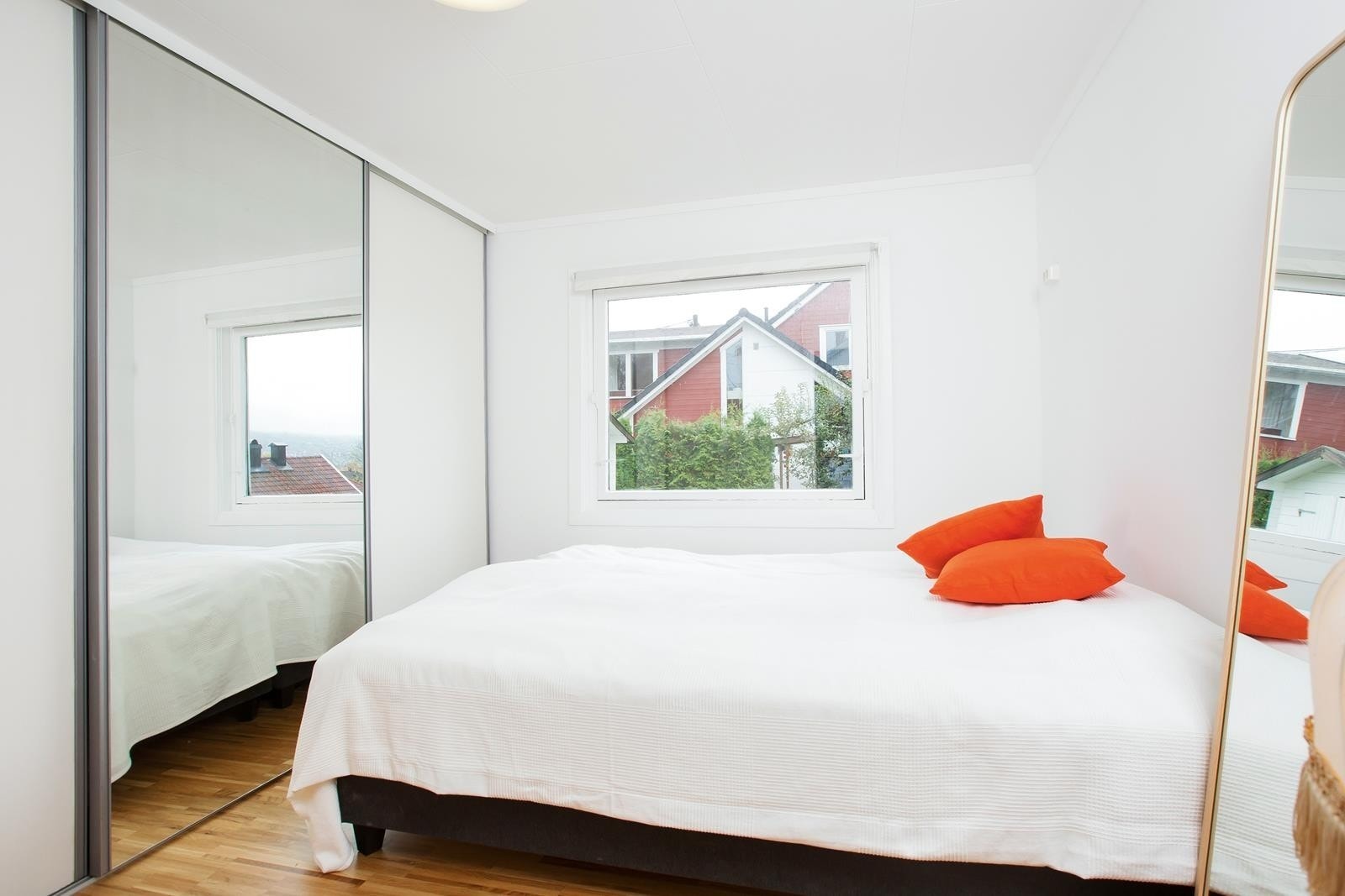 Rom 101 Galleribilde