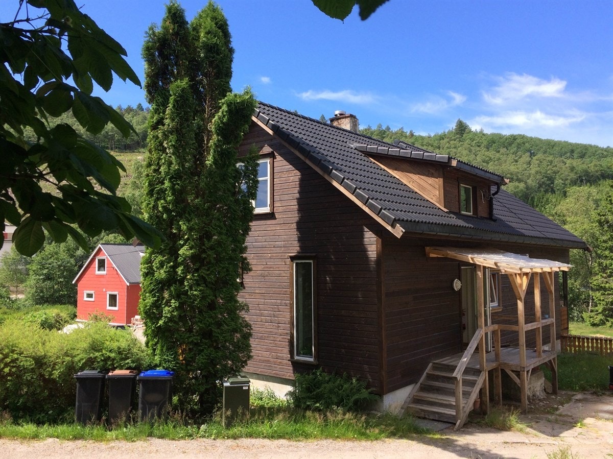 IMG_3444-2 Galleribilde