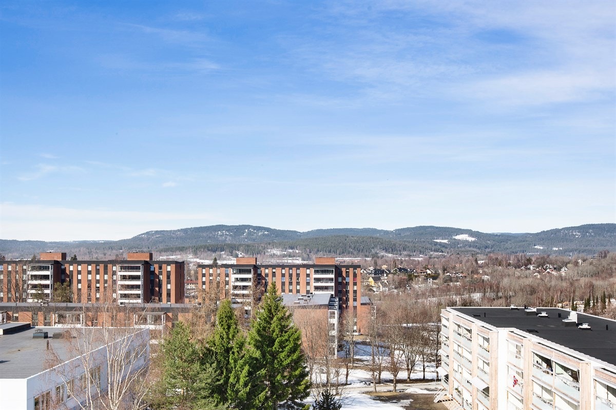 Her er det fritt utsyn så langt øye kan se, og herlige solforhold. Galleribilde