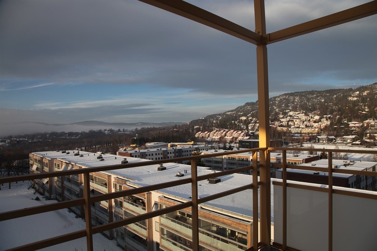 Bilde tatt av selger. Galleribilde