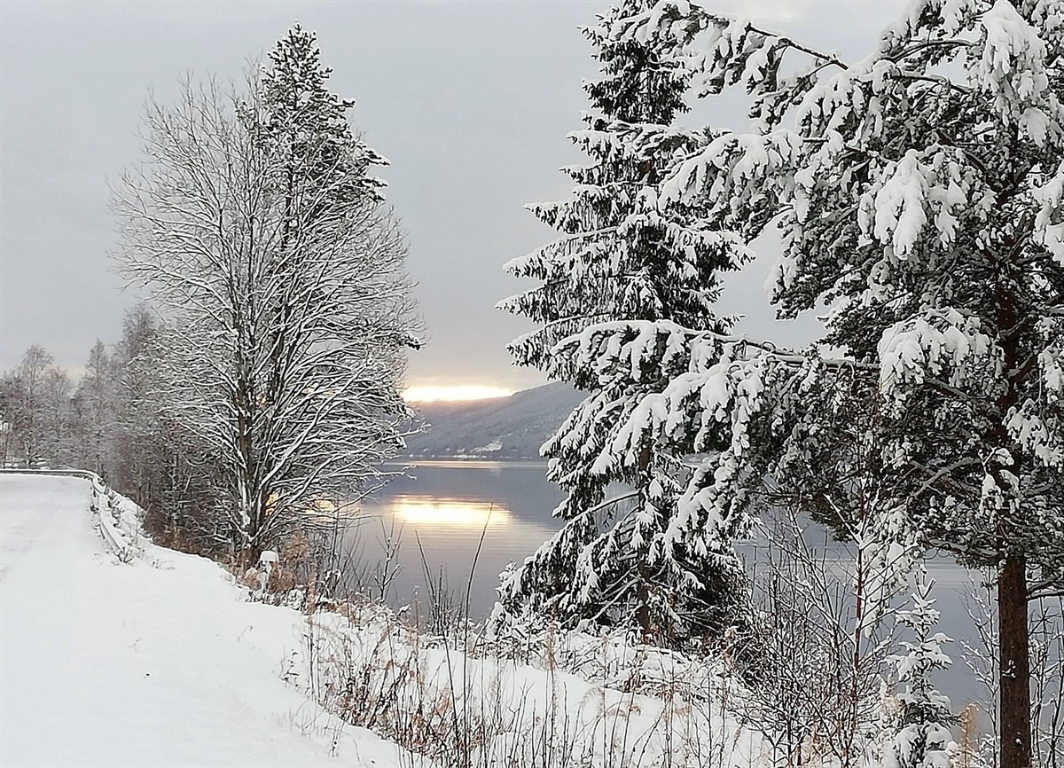 Nydelige Storsjøen like ved. Galleribilde