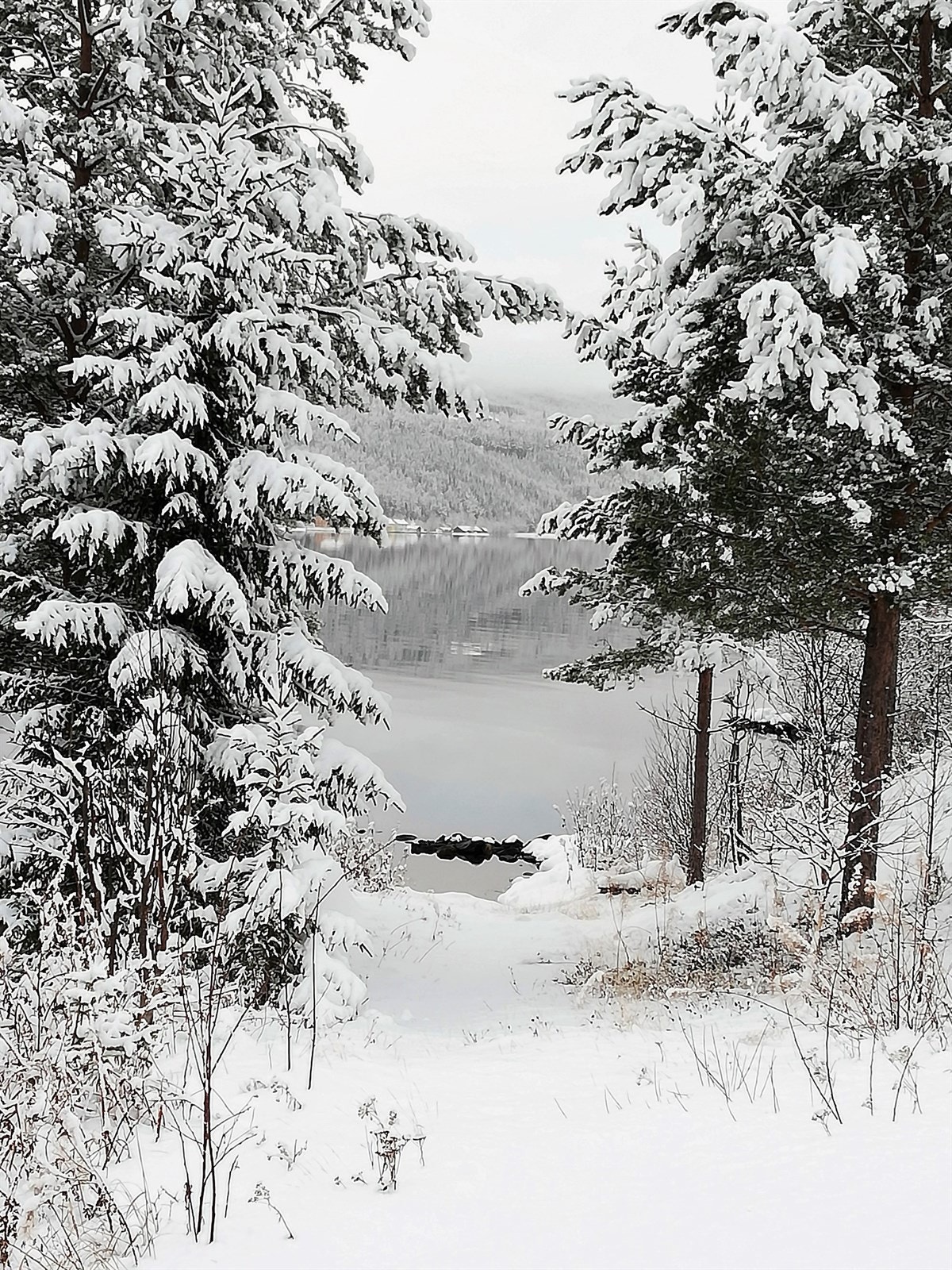 Flotte fiskemuligheter i Storsjøen. Galleribilde