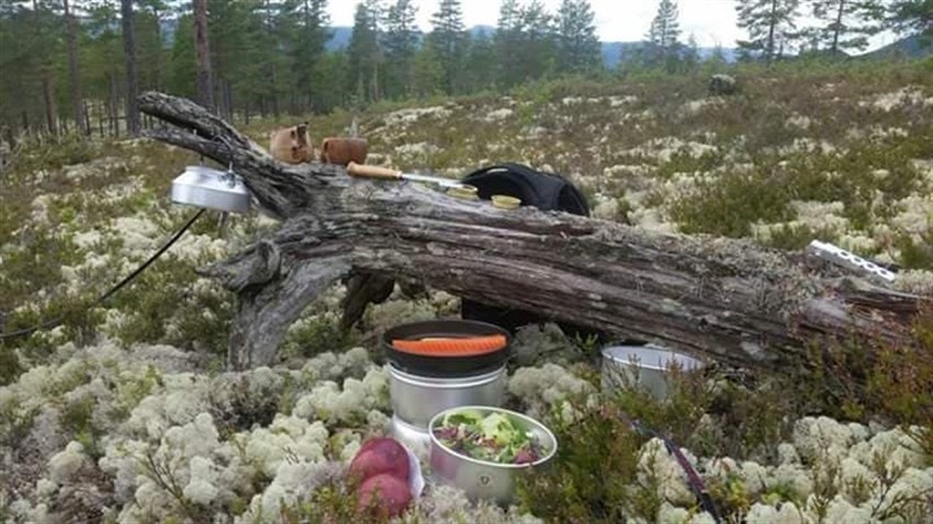 Flott jaktterreng. Galleribilde