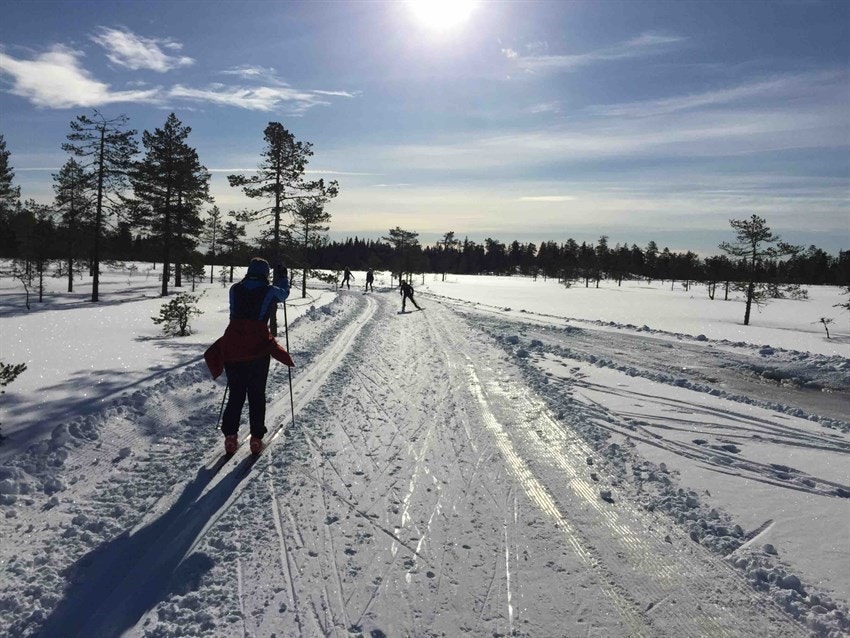 Gode muligheter for skigåing på vinteren. Galleribilde