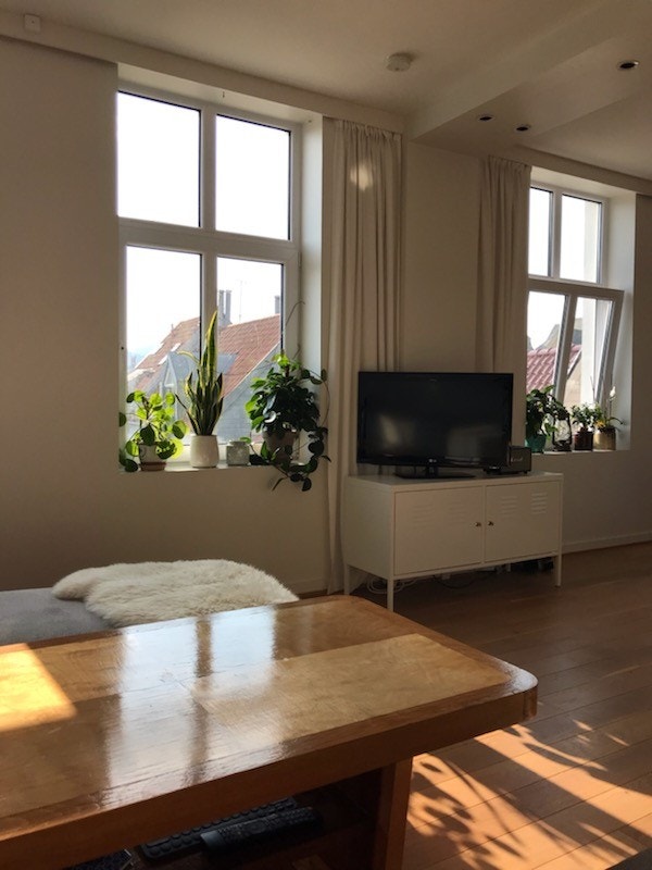 Stue Galleribilde