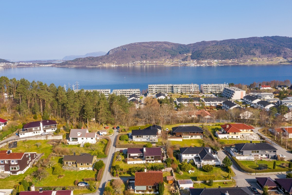 Område Galleribilde