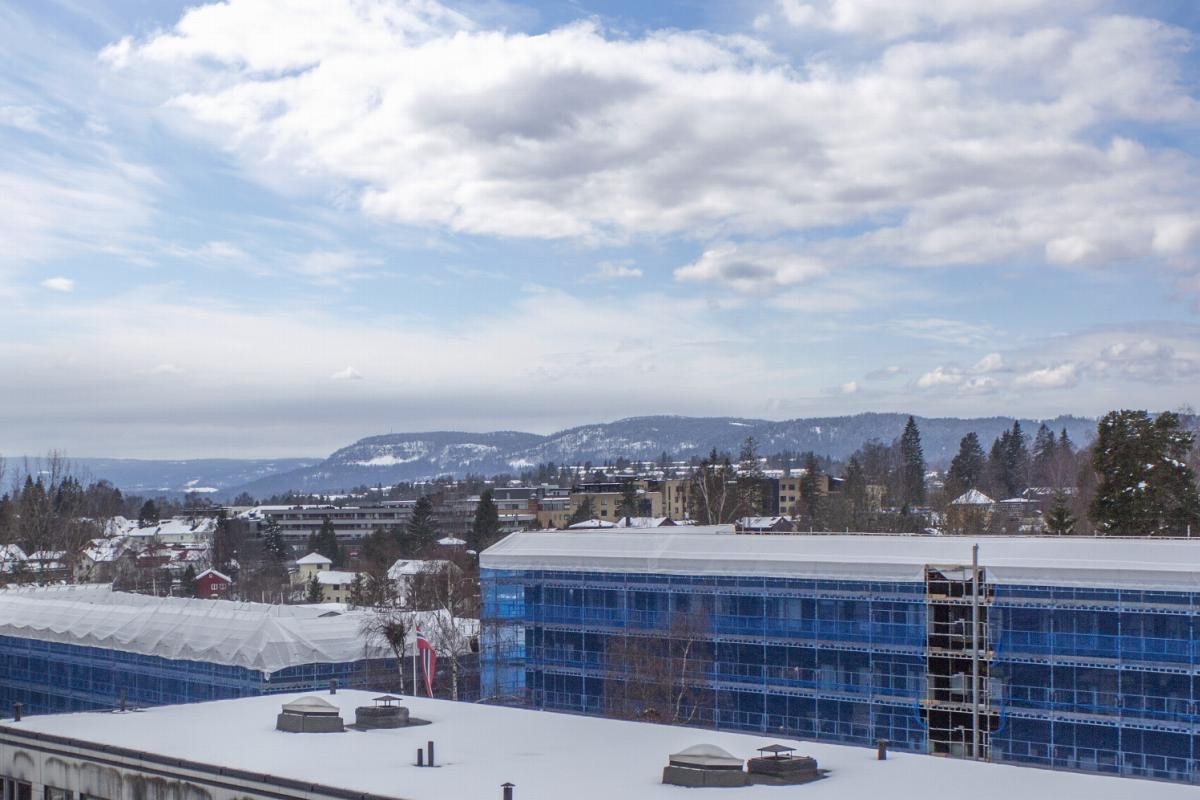 Flott utsikt mot vest. Galleribilde