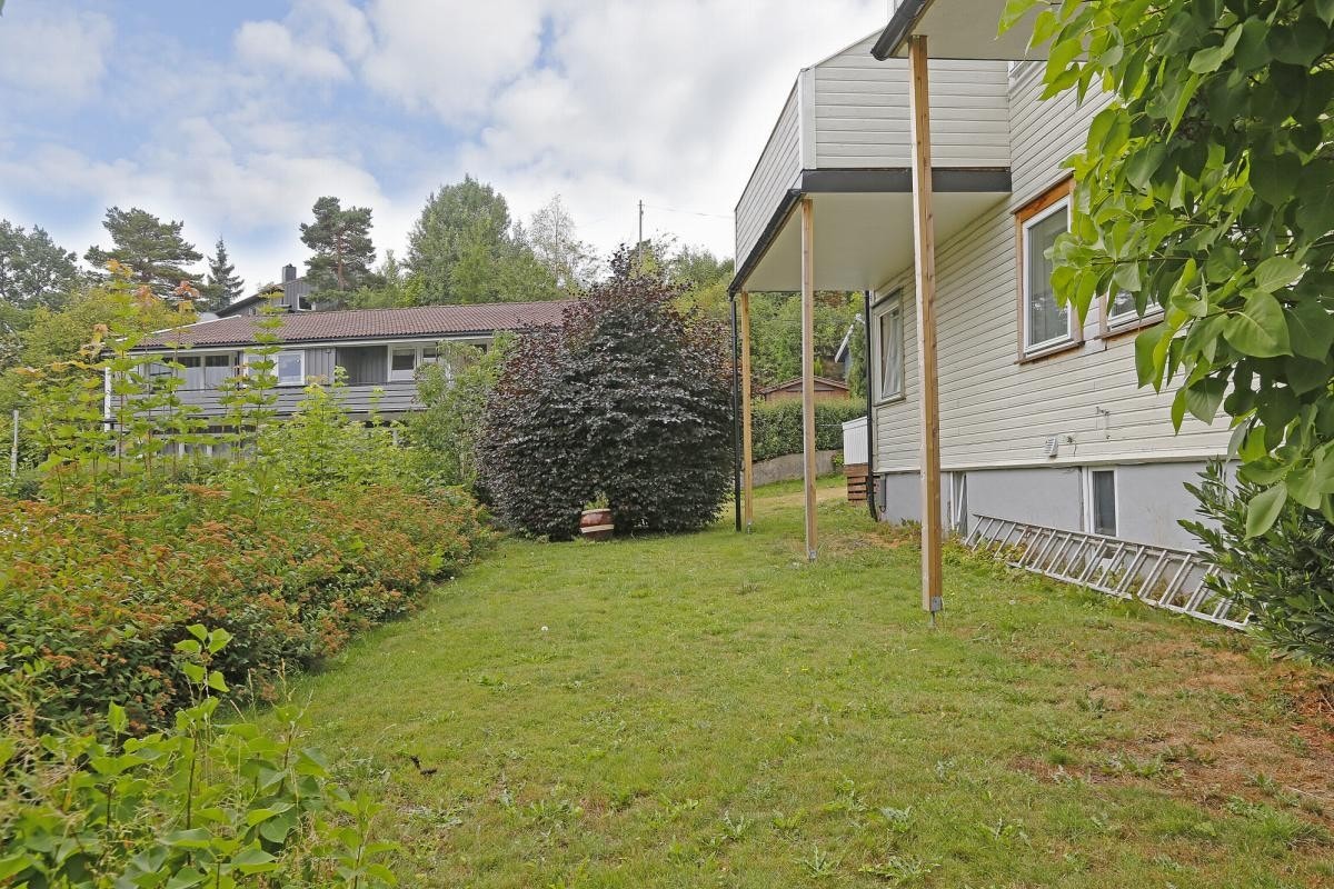 Felles hage med plen og beplantning Galleribilde
