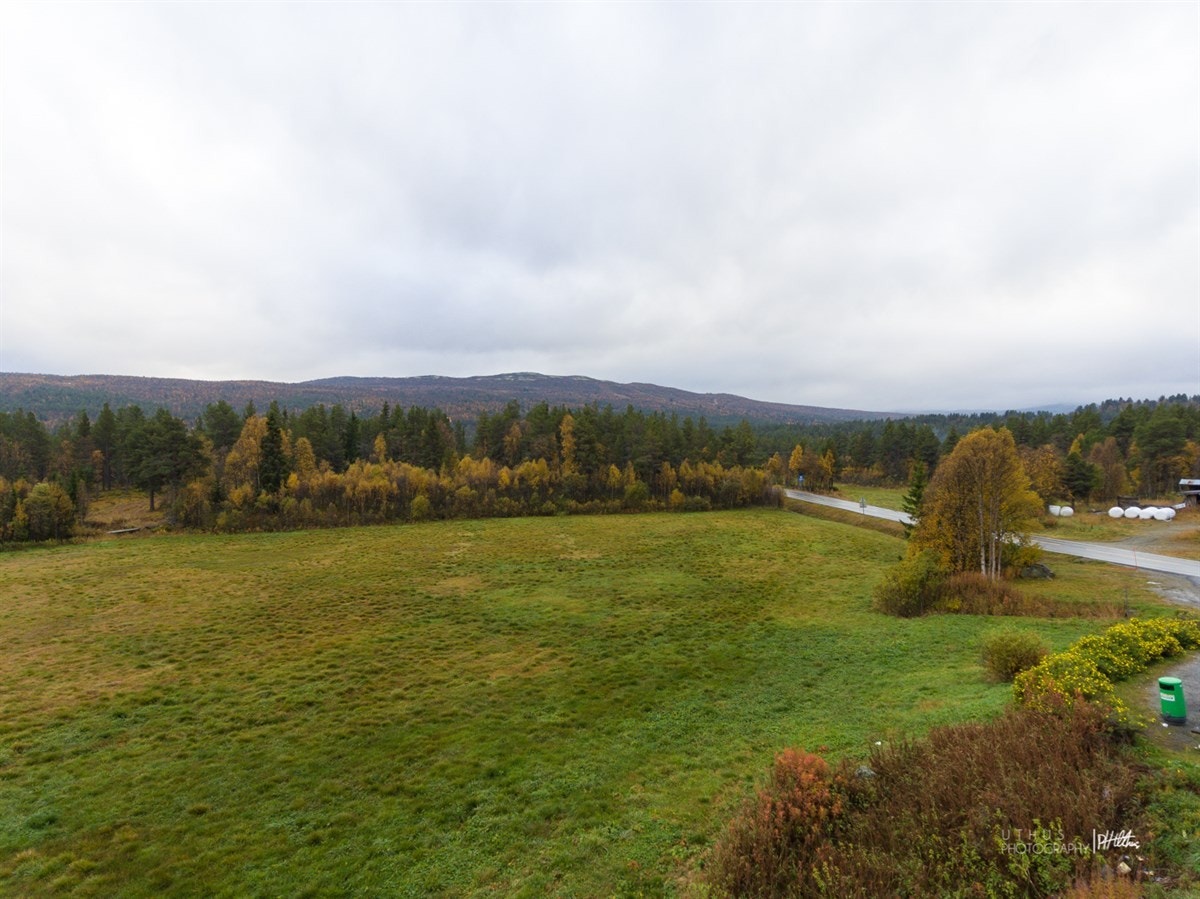 WEB-20170925-PH Uthus007 Galleribilde