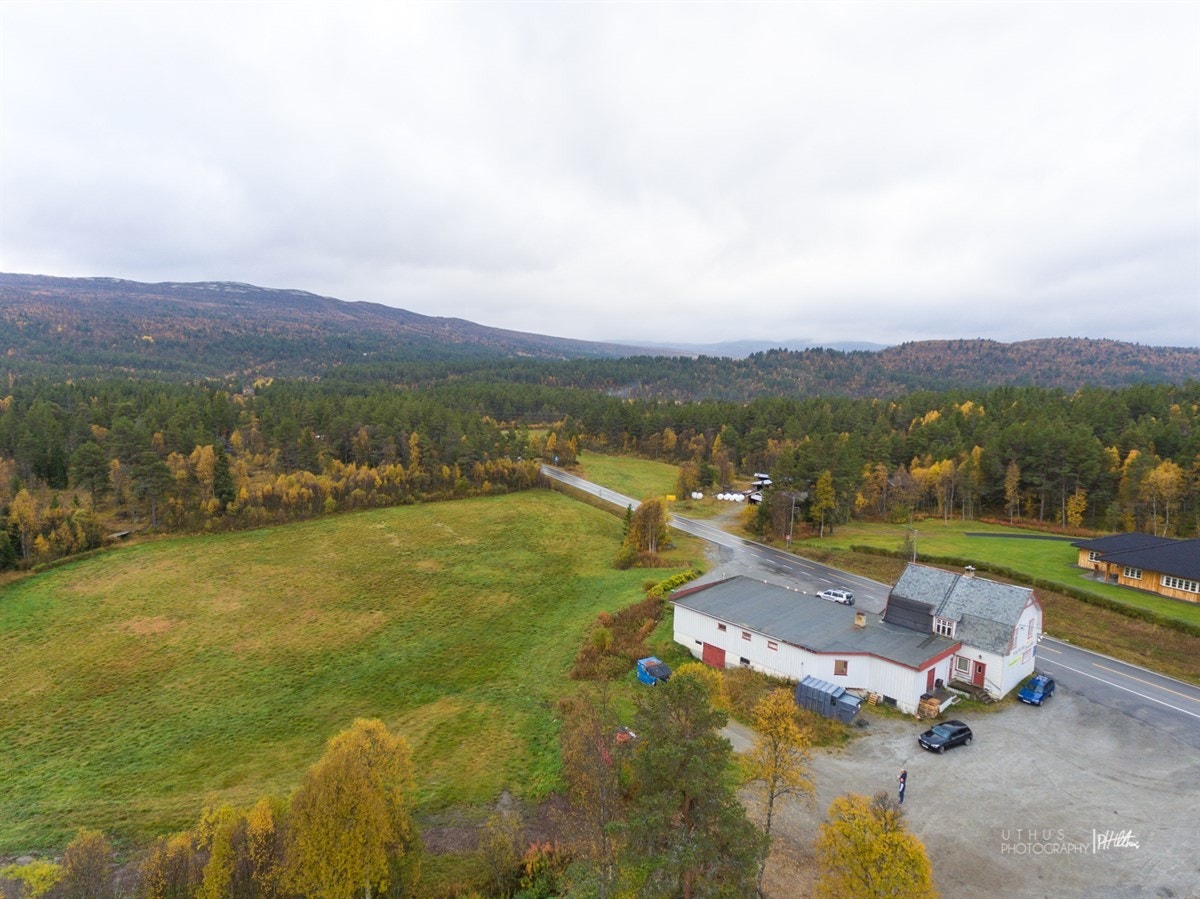 WEB-20170925-PH Uthus012 Galleribilde