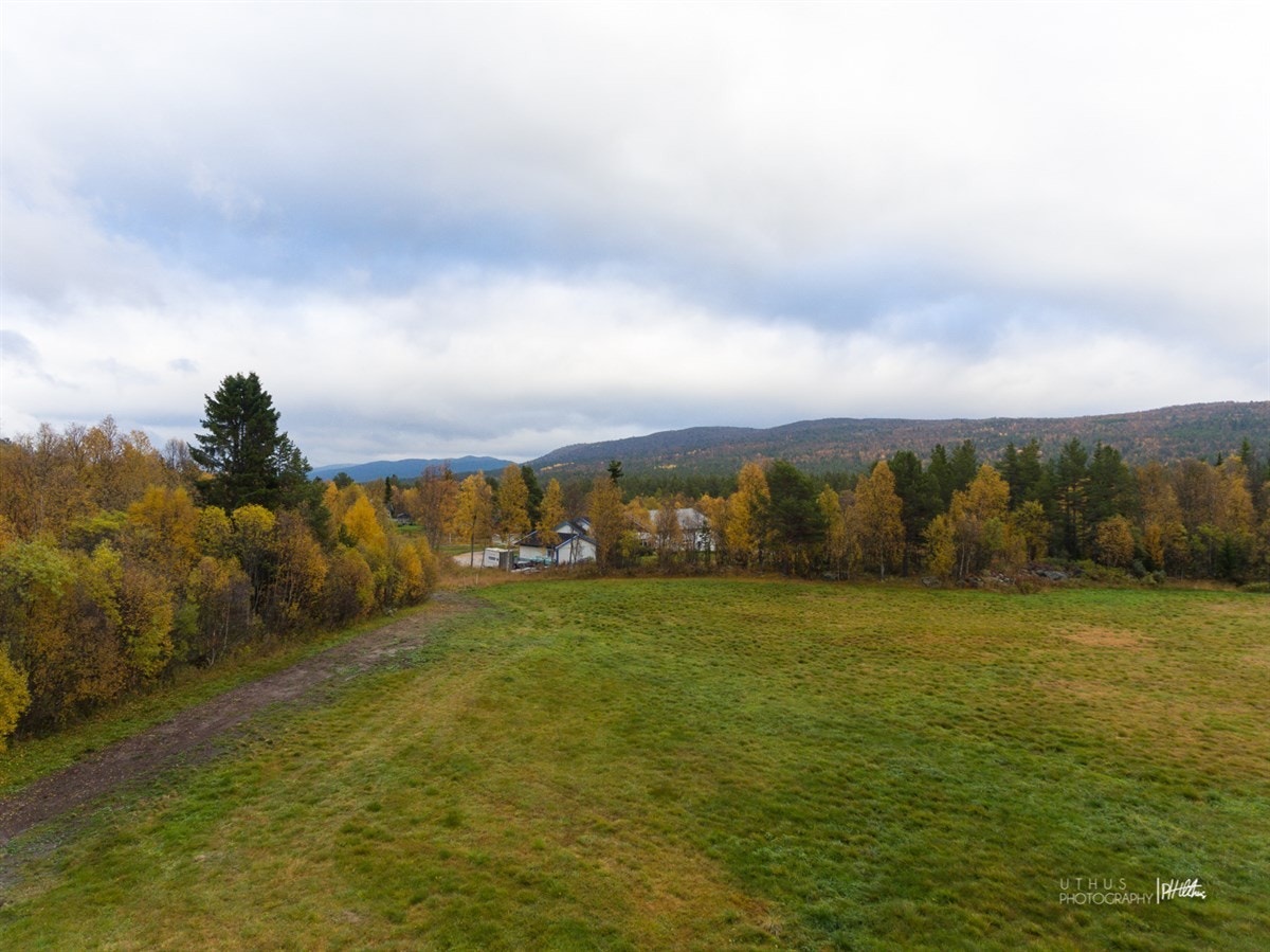 WEB-20170925-PH Uthus002 Galleribilde