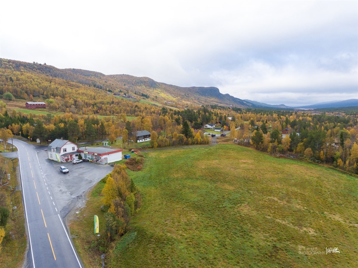 WEB-20170925-PH Uthus018 Galleribilde