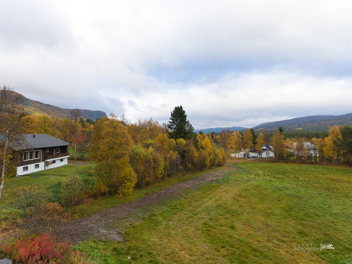 WEB-20170925-PH Uthus003 Galleribilde