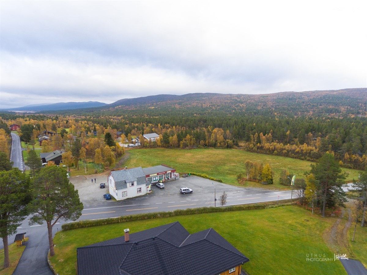 WEB-20170925-PH Uthus016 Galleribilde