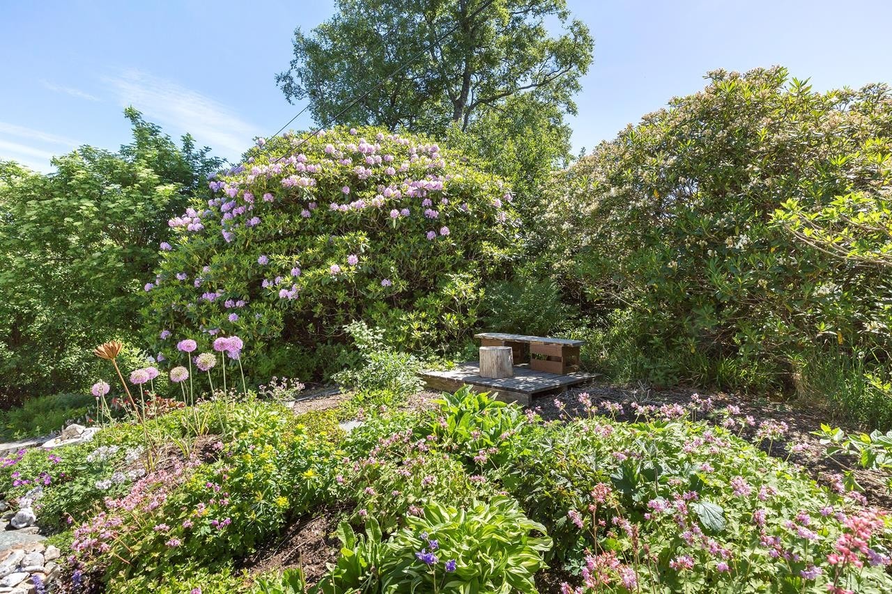 Herlig og frodig hage med flere sitteplasser. Galleribilde