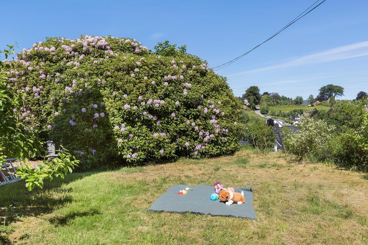 God boltreplass for både store og små. Galleribilde