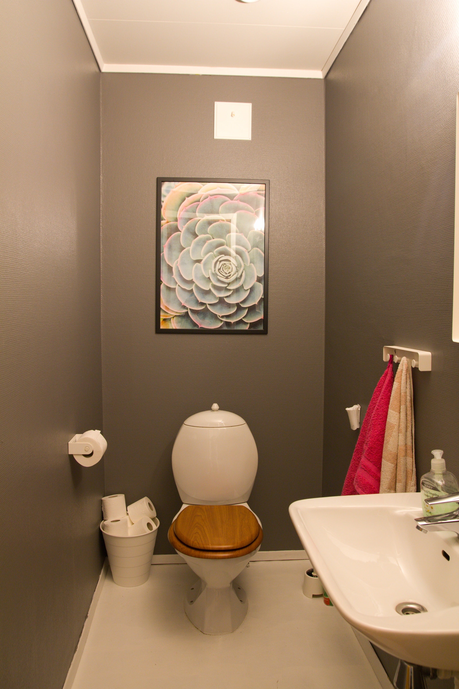 Toalett (separat) Galleribilde