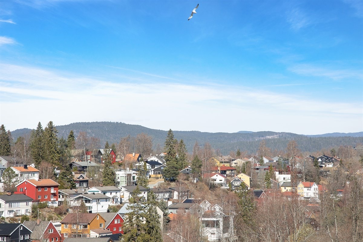 Flott utsikt over nærområdet Galleribilde