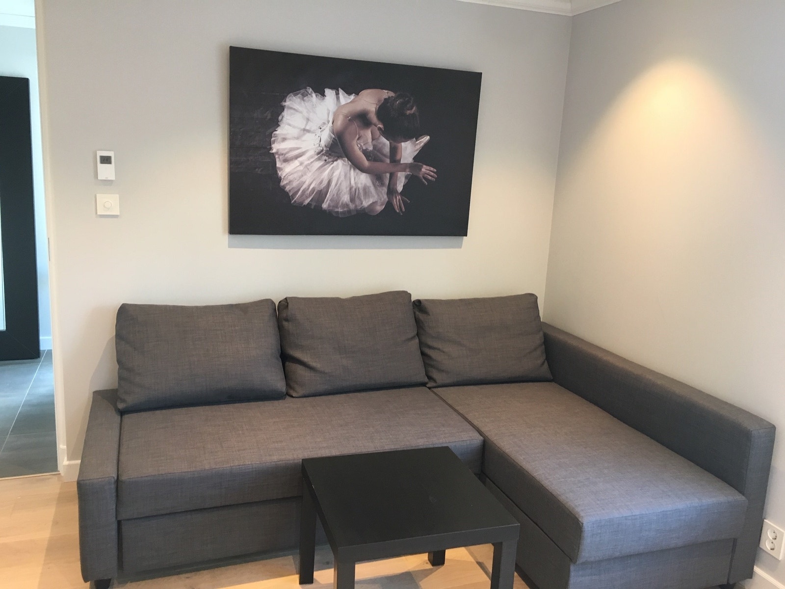 Bilde over sovesofa Galleribilde