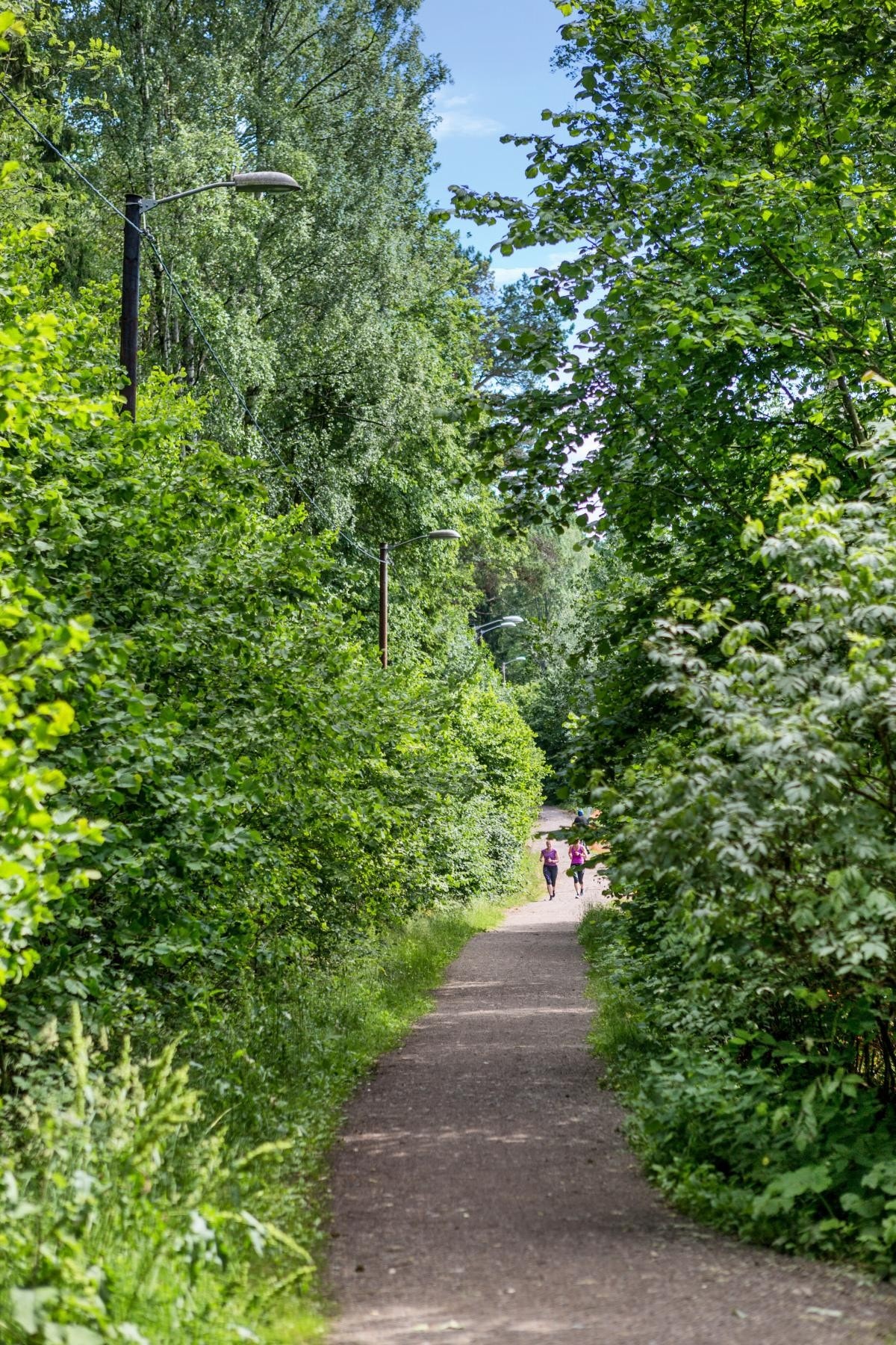 Fra lysløypa. Galleribilde
