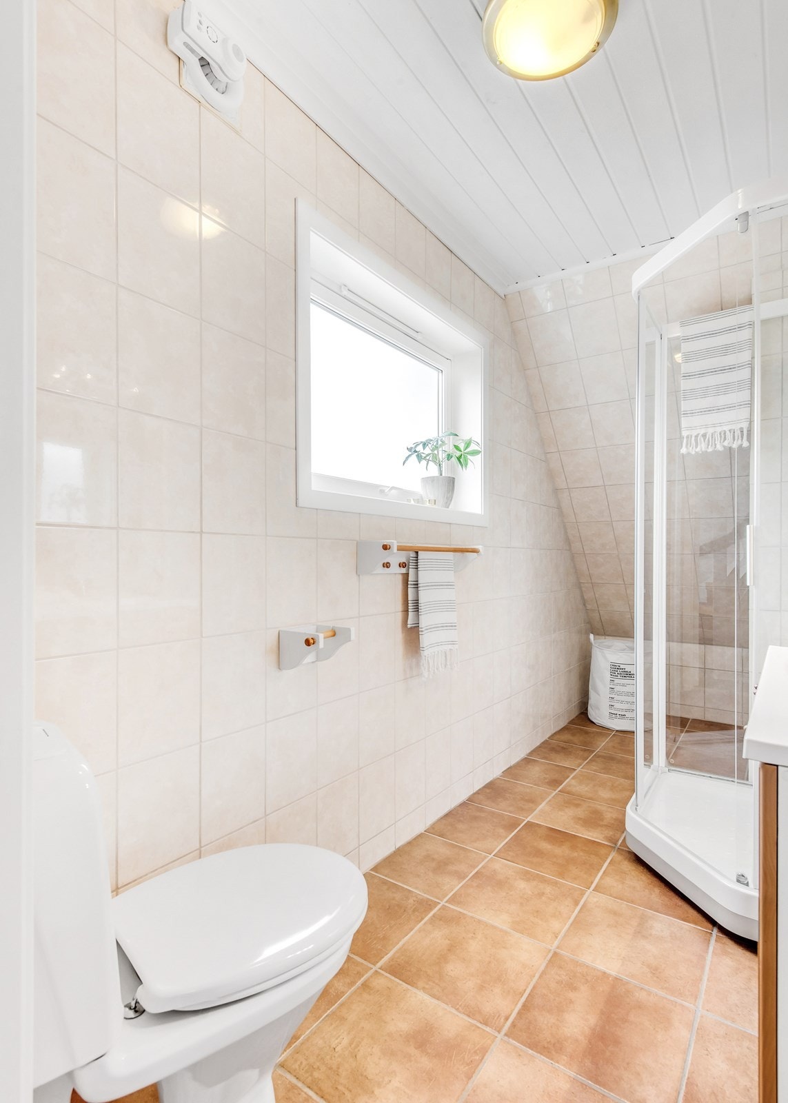 Vindu for naturlig dagslys og luftemuligheter. Galleribilde