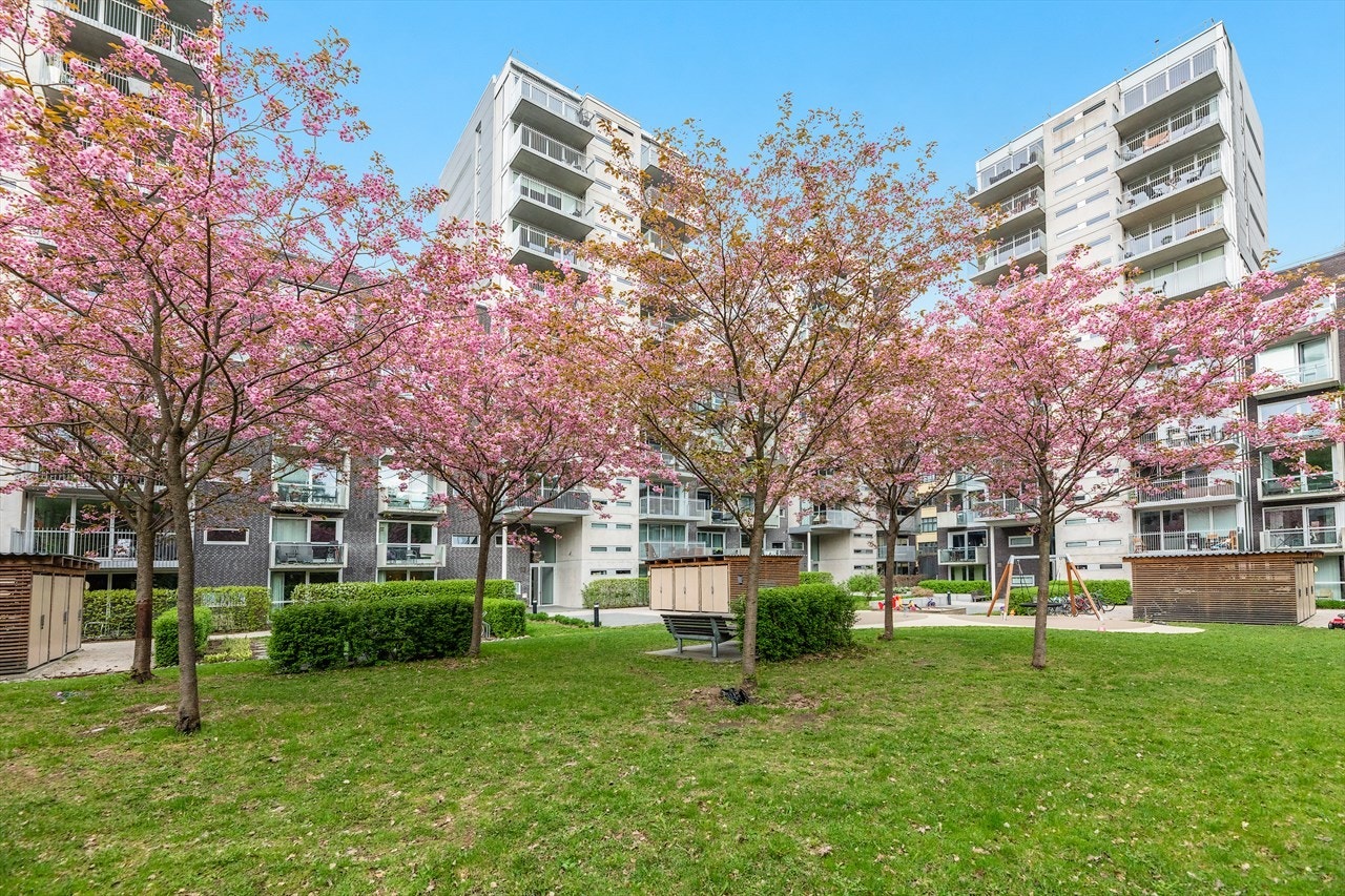 Utrolig koselig bakgård med både sittegrupper og lekeplass. Galleribilde