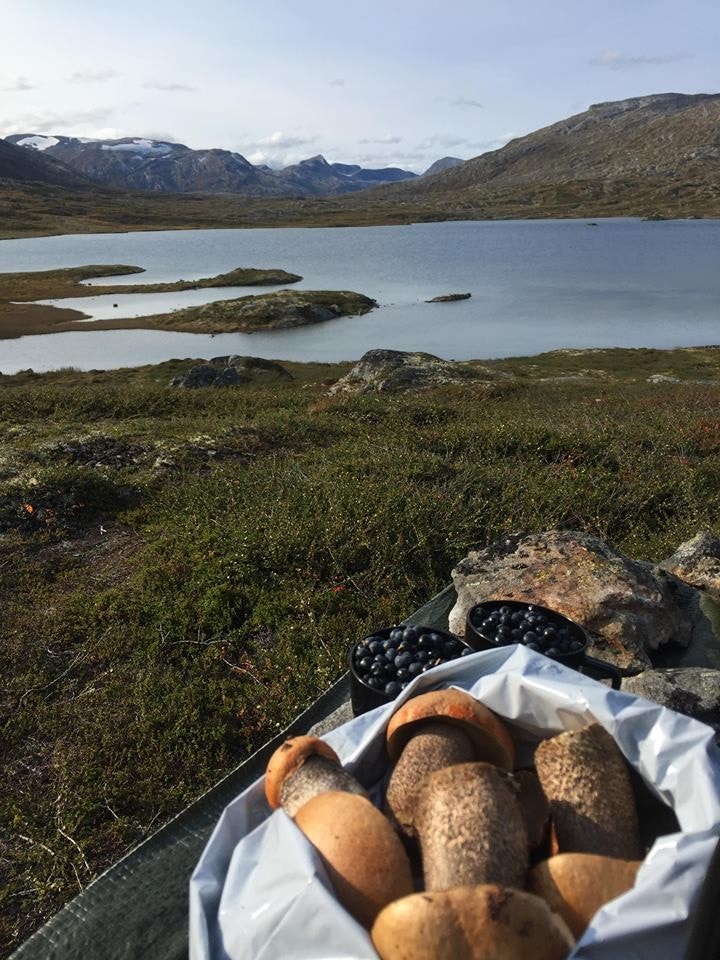 Inspirasjonsbilde sommer 2017 Galleribilde